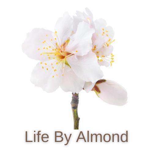 Life By Almond logo